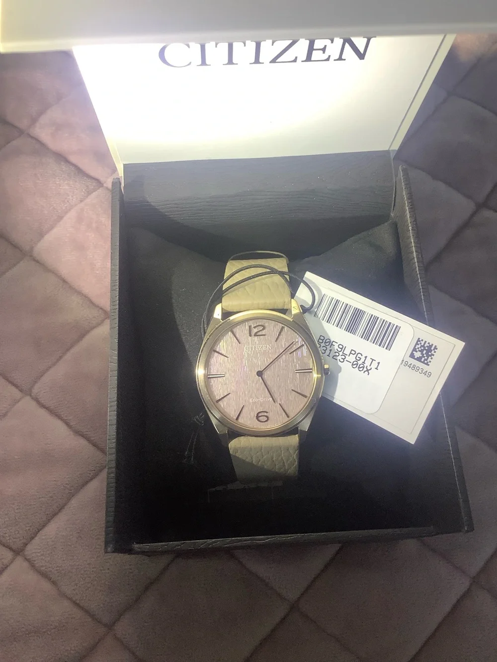 Citizen Suratto Eco Drive Watch